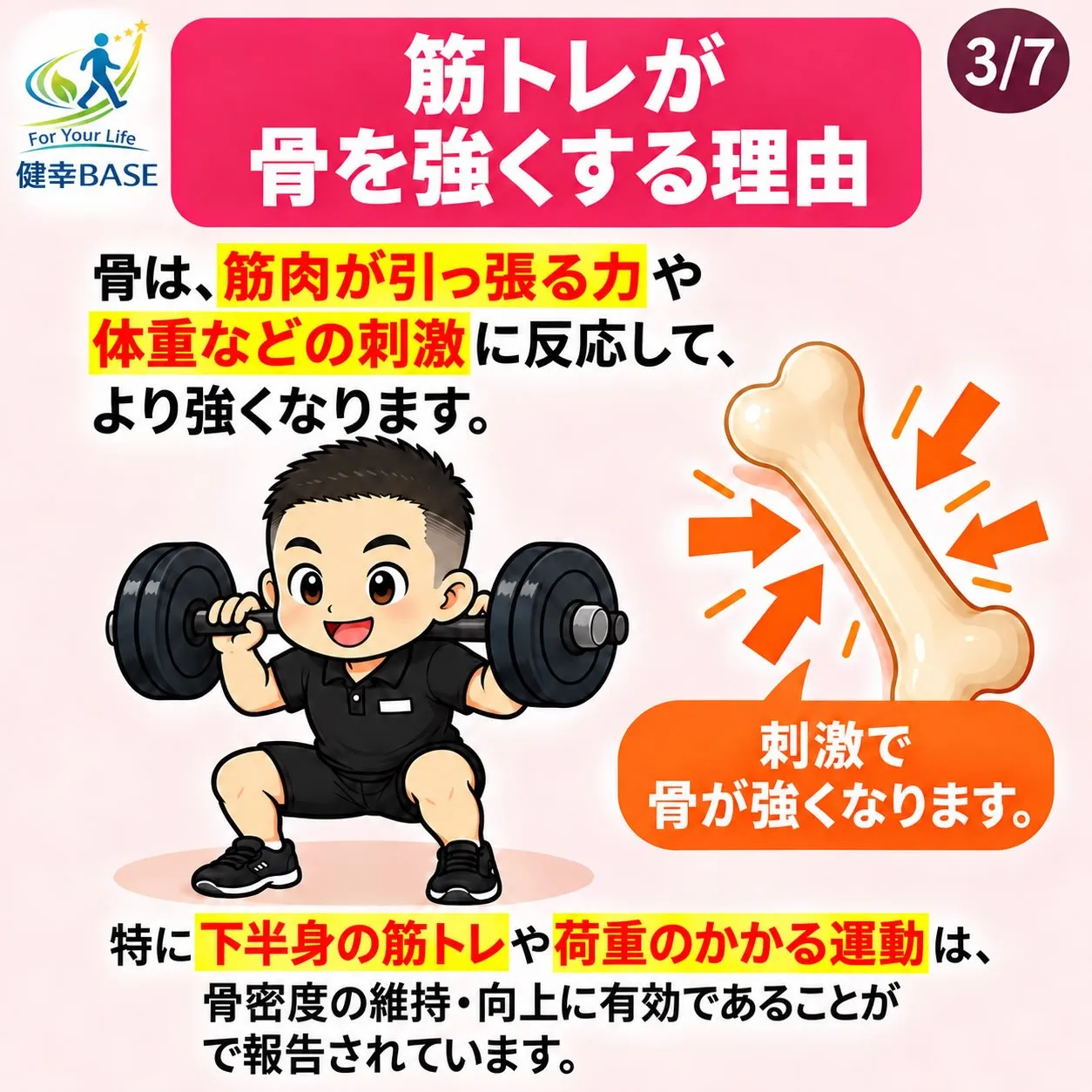 【骨粗鬆症の予防は「筋トレ」と「栄養」がカギ🦴】